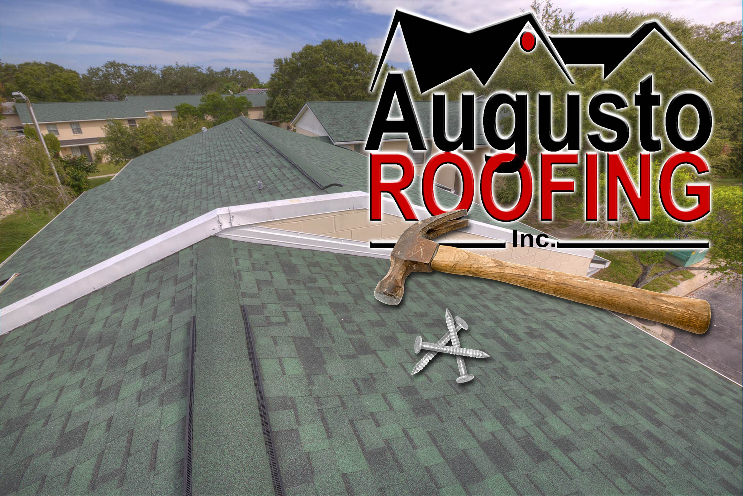Professional Roofing