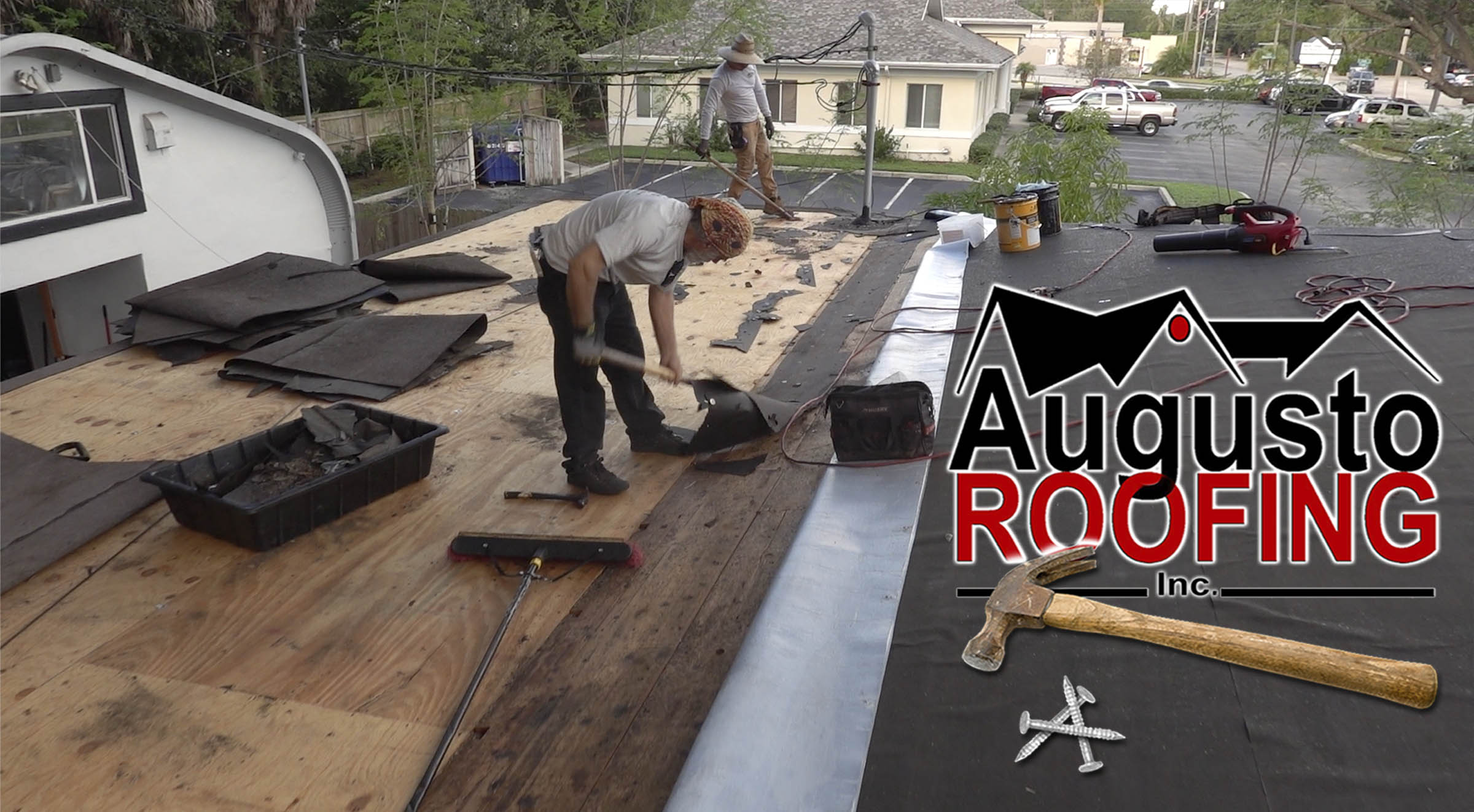 Asphalt Shingle Roof Roof Cleaning